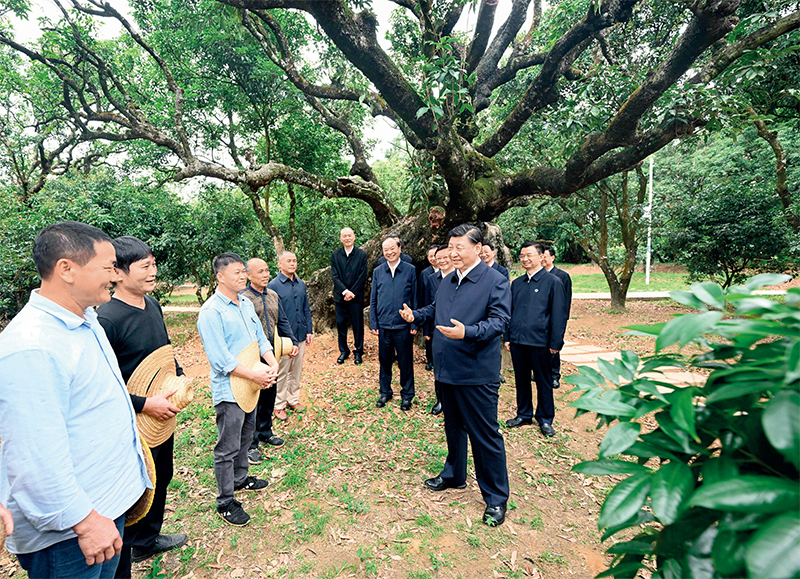 2023年4月10日至13日，中共中央總書(shū)記、國(guó)家主席、中央軍委主席習(xí)近平在廣東考察。這是11日下午，習(xí)近平在茂名高州市根子鎮(zhèn)柏橋村荔枝種植園，同現(xiàn)場(chǎng)技術(shù)人員親切交流。