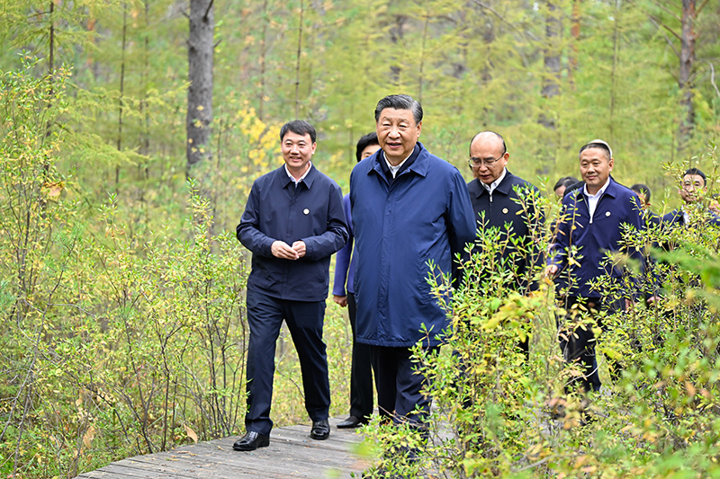 9月6日至8日，中共中央總書記、國家主席、中央軍委主席習(xí)近平在黑龍江考察。這是6日下午，習(xí)近平在大興安嶺地區(qū)漠河市漠河林場自然林區(qū)考察